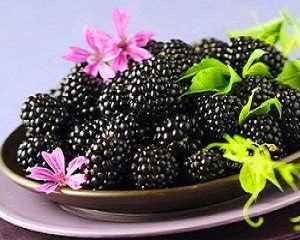 Компот из ежевики на зиму