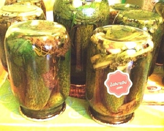 Маринованные огурцы на зиму