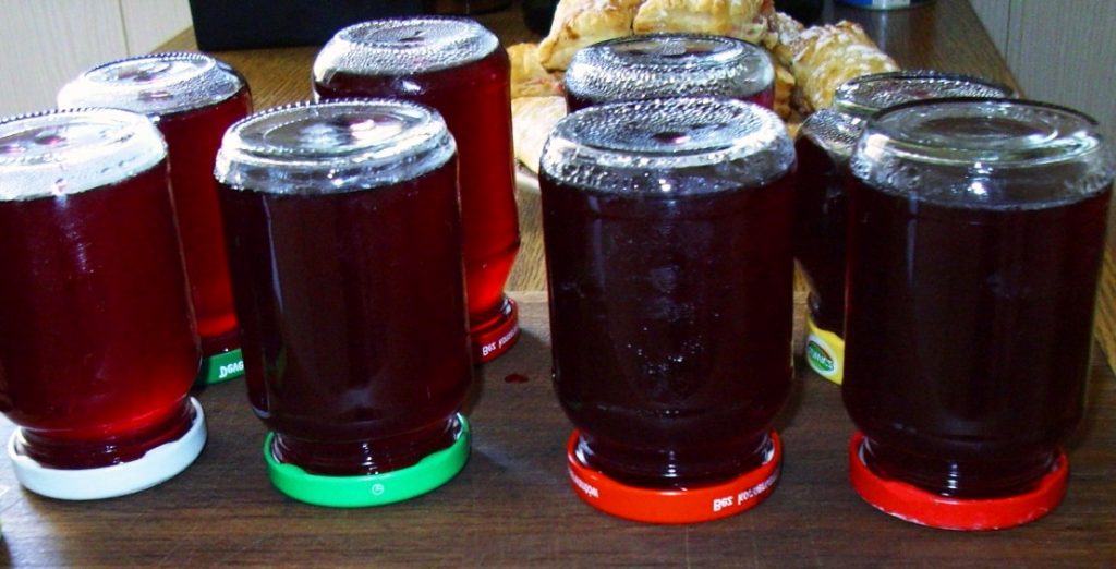 Виноградный сок в домашних условиях