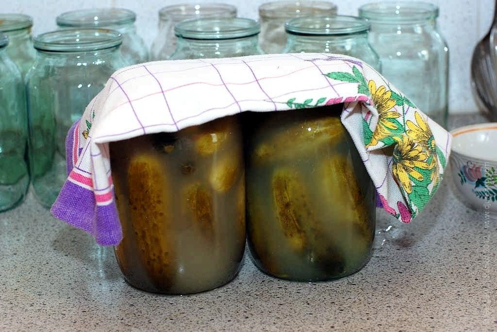 Кислые огурцы на зиму